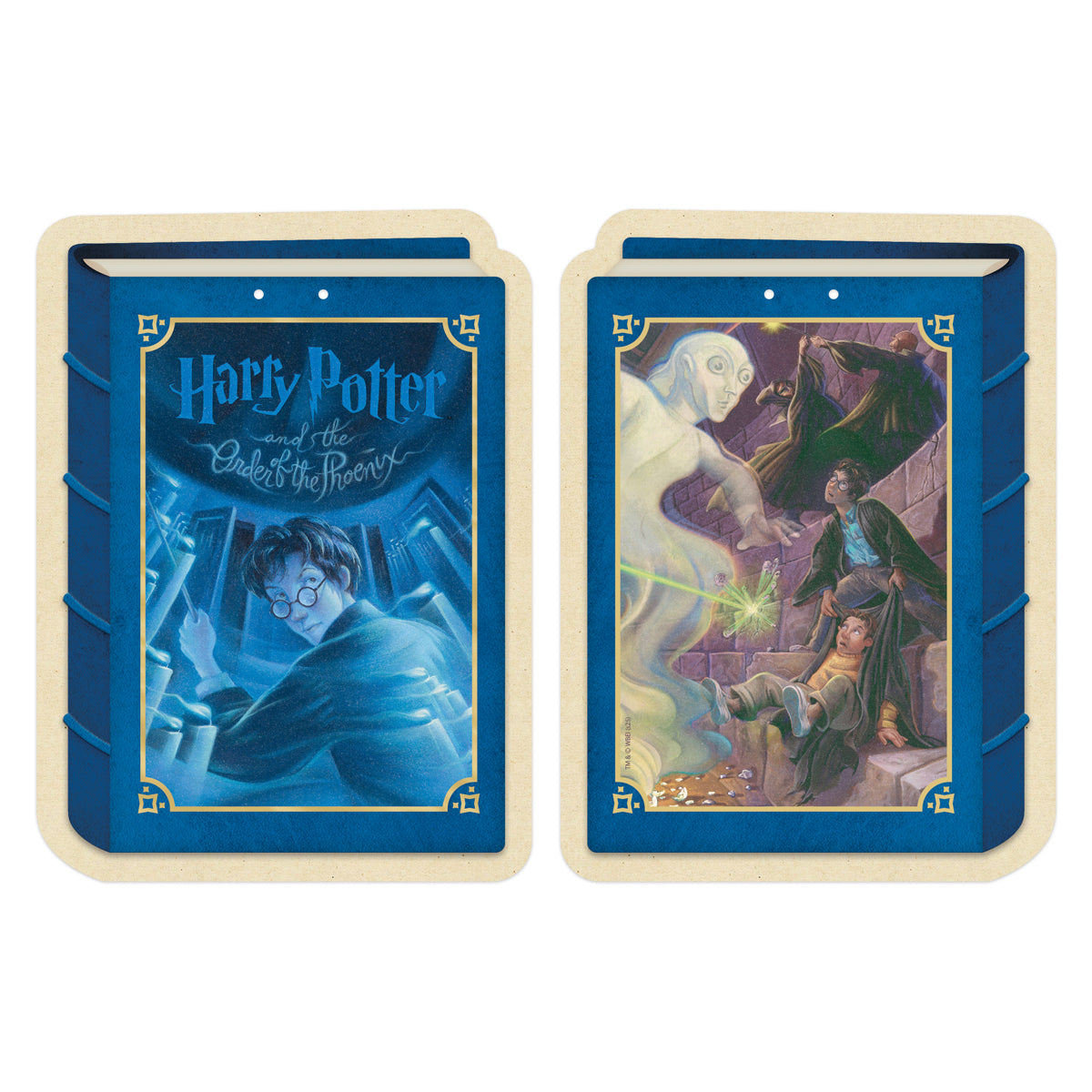 Harry Potter Literary Art Hanging Cardstock Banners (28-Pieces, 4 Strings of 7 Cards)