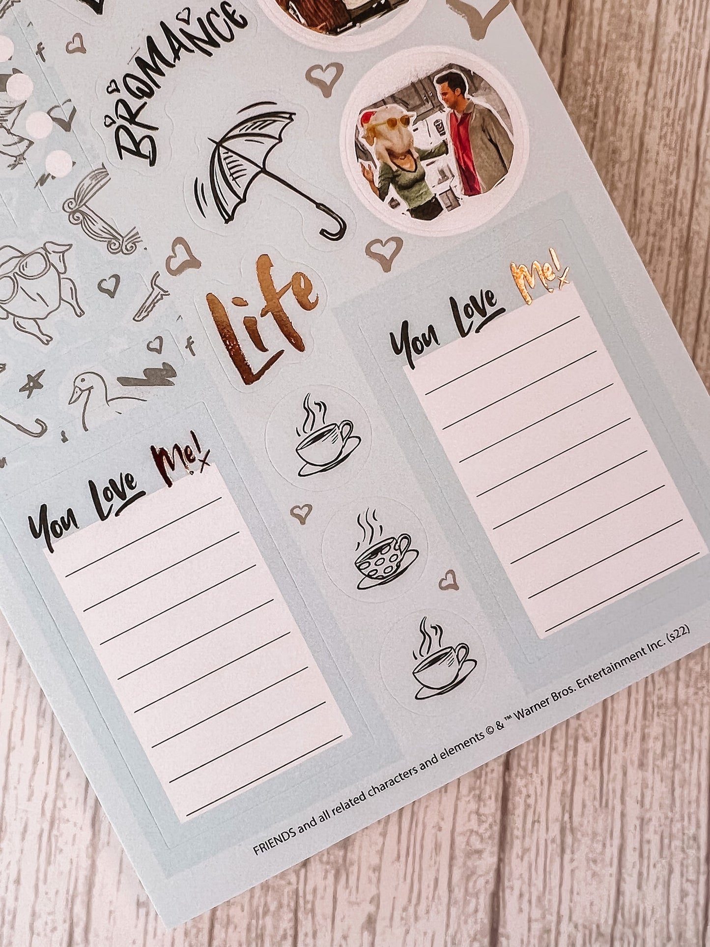 Friends Planner Sticker Book