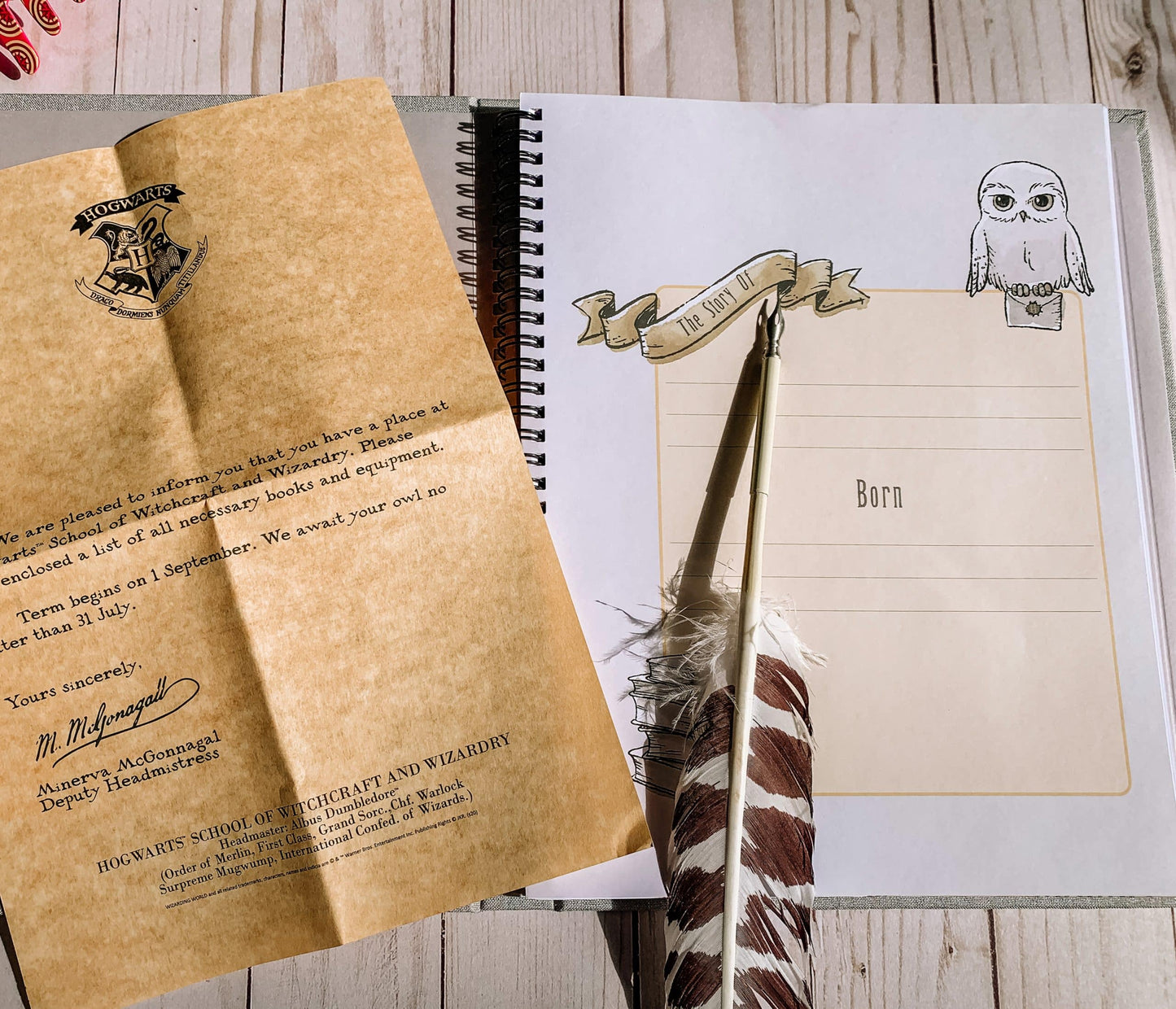 Harry Potter Little Keeper Baby Album
