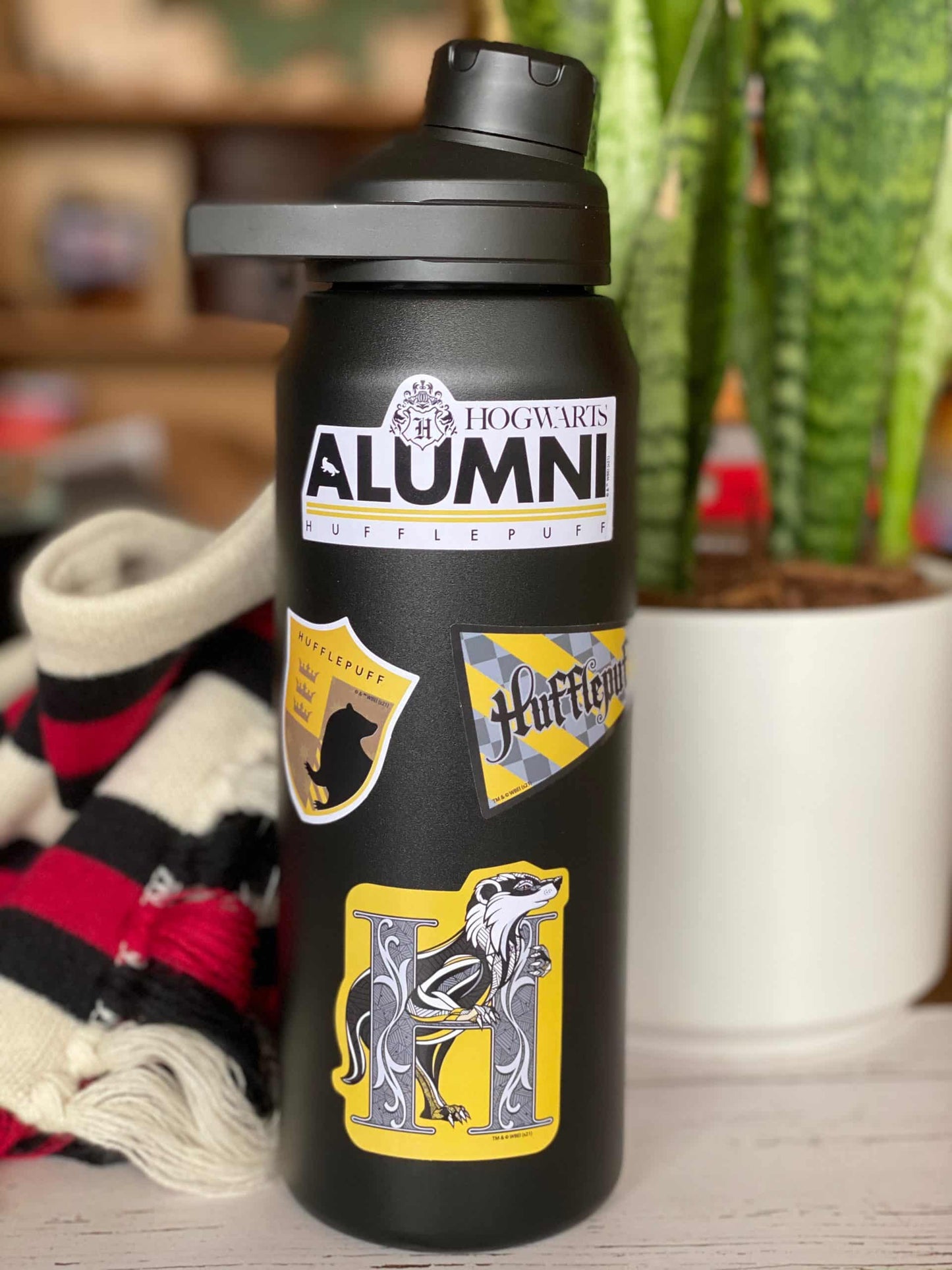 Harry Potter Hufflepuff Decals (60-Pack)