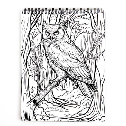 Waiting for the Night Coloring Book