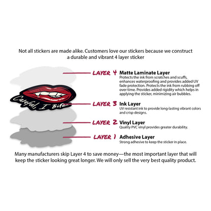 (10-Pack) A Little Wicked Decals