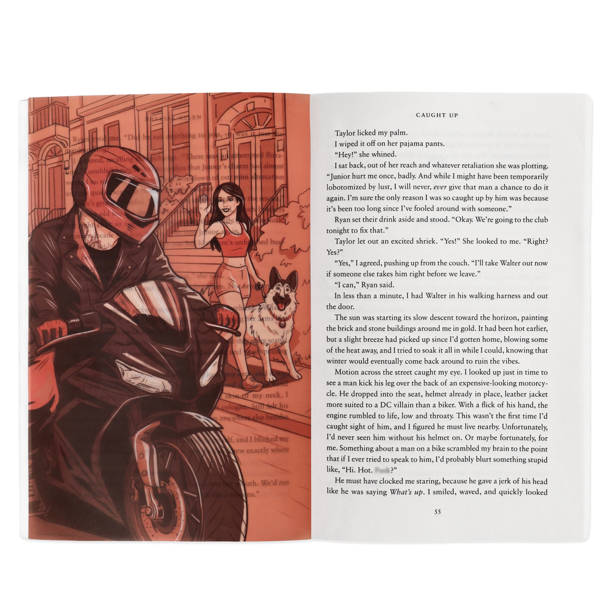 Caught Up Book Scene Illustrations (6-Pack) (ConQuest Journals Exclusive)