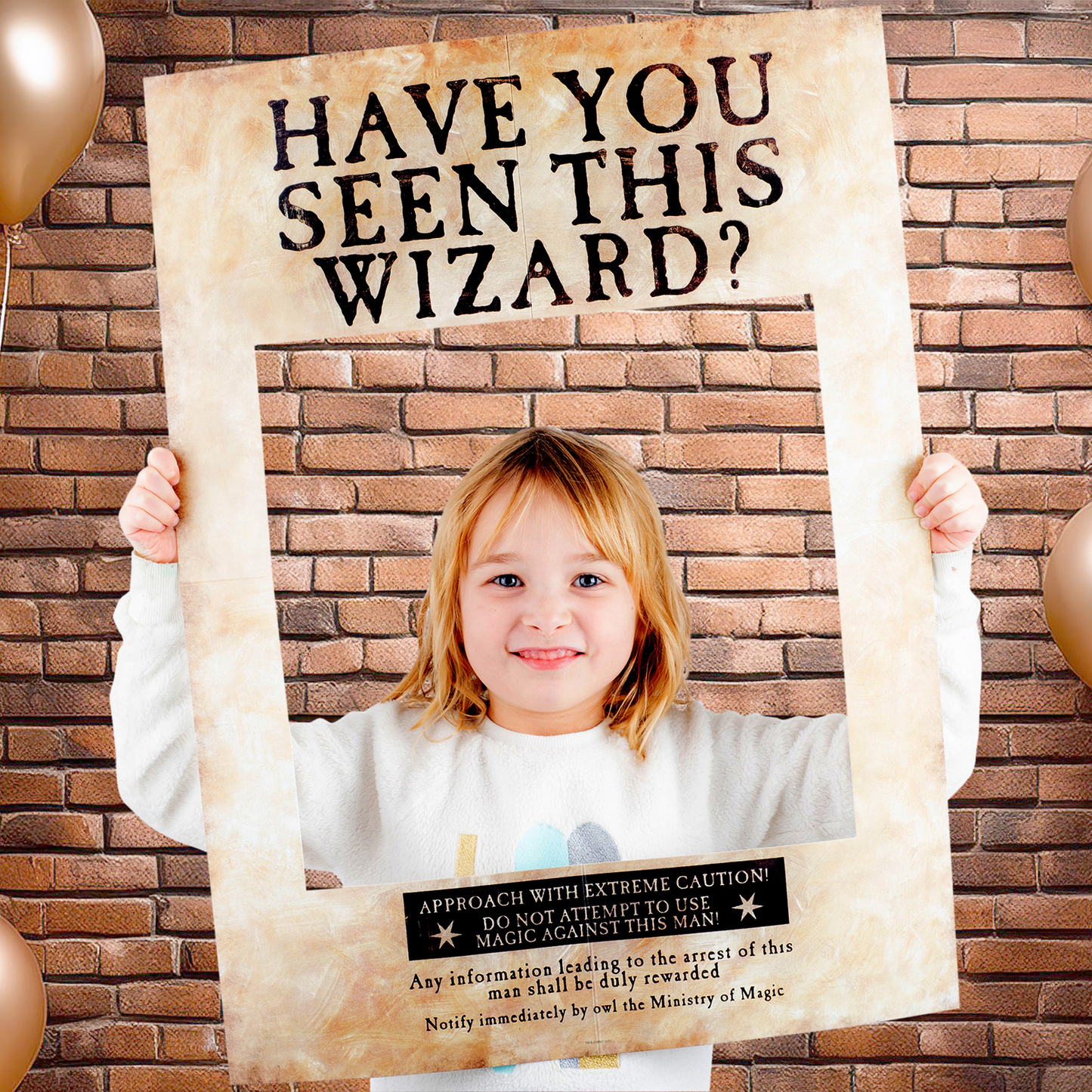 Harry Potter Have You Seen This Wizard? Photo Prop