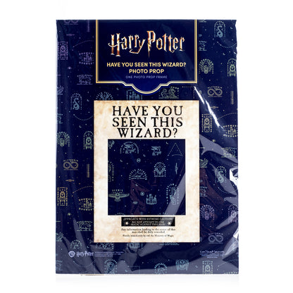 Harry Potter Party Decor & Photo Prop Bundle (Have You Seen This Wizard? Photo Prop, Location Directional Signs & Large Quidditch Banner Flag Set)