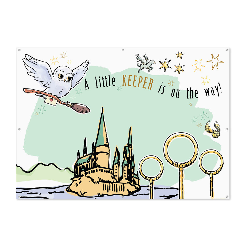 Harry Potter Baby Shower Party Decor Bundle (Backdrop, Banner & Hanging Decorations)
