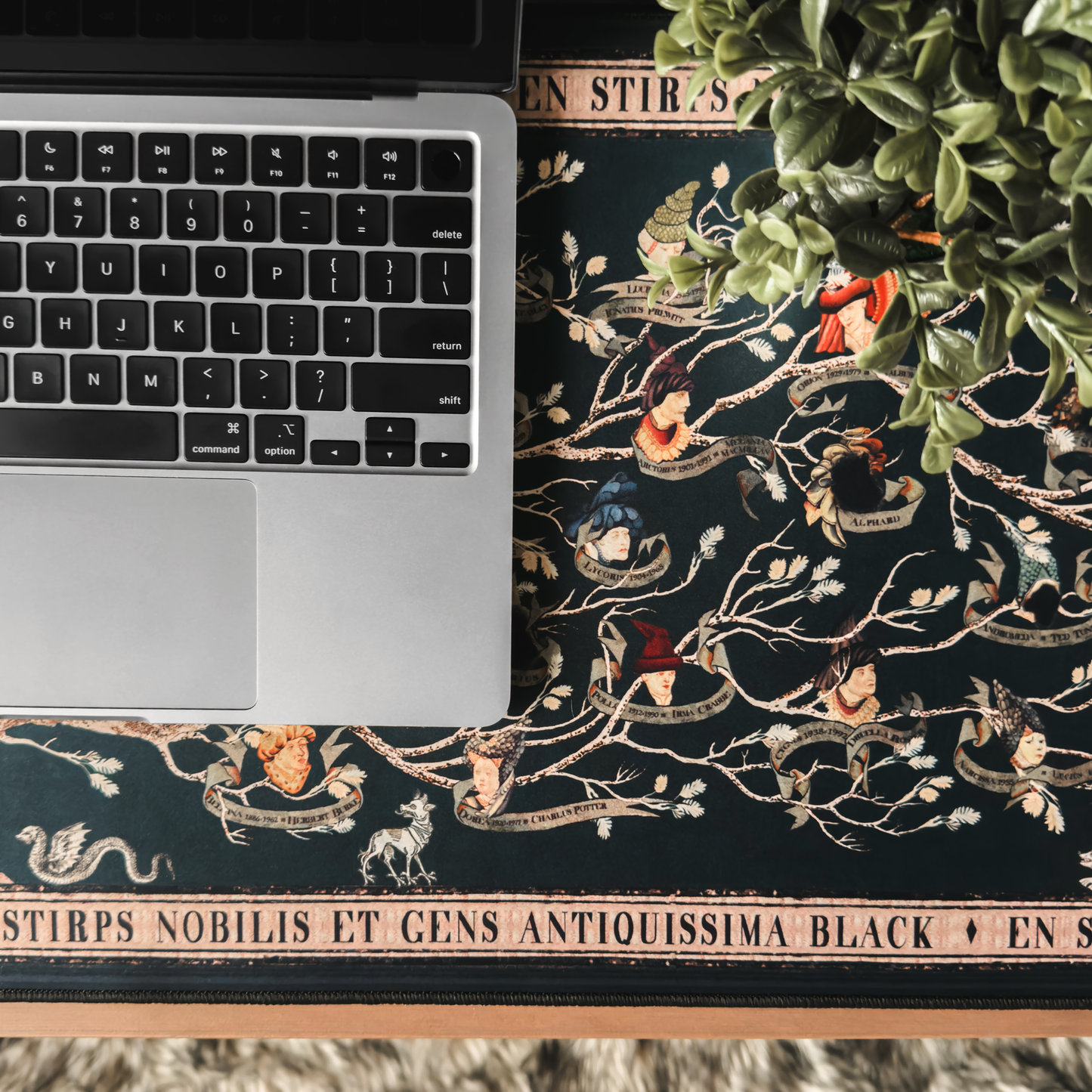 Harry Potter House of Black Desk Mat (13.7'' x 31.5'')