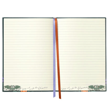 Throne of Glass: Abraxos Journal
