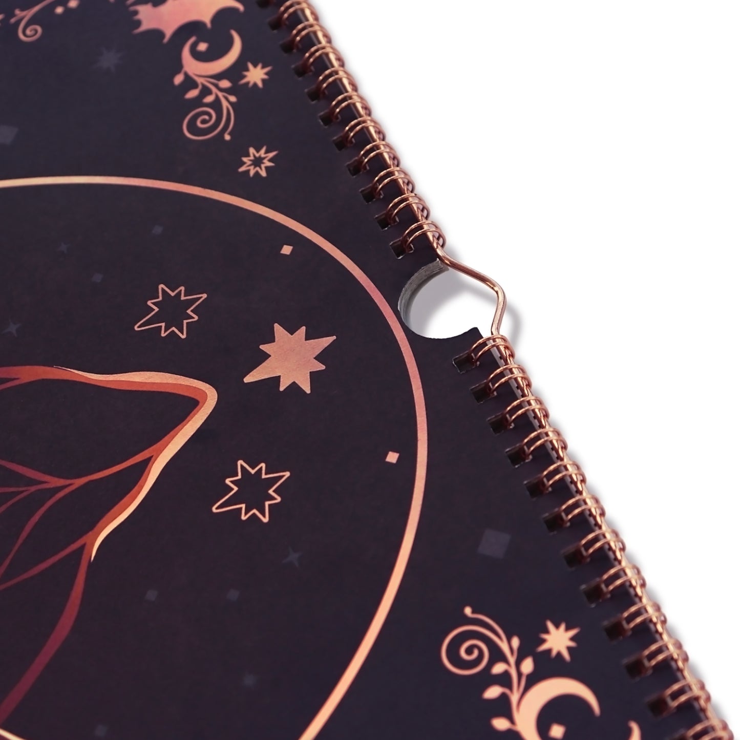 A Court of Thorns and Roses: Velaris 2027 Spiral Wall Calendar
