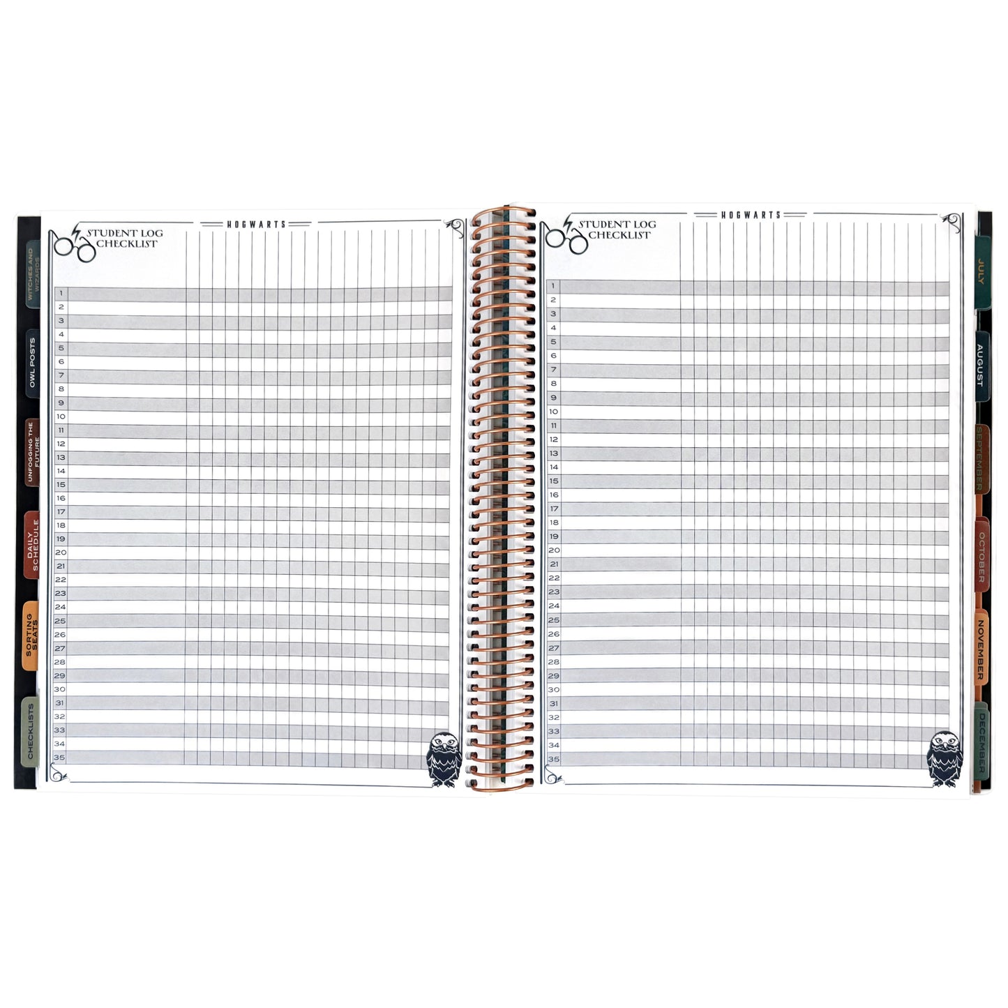 Harry Potter 2026-2027 Hogwarts Weekly Dated Teacher Planner (July - June)