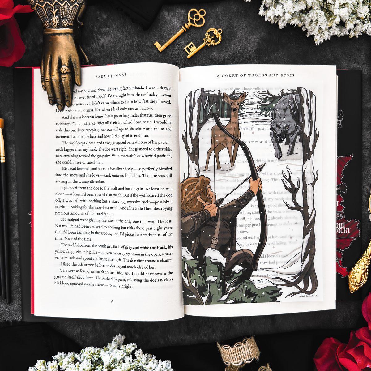 A Court of Thorns and Roses Book Scene Illustrations (6-Pack) (ConQuest Journals Exclusive)