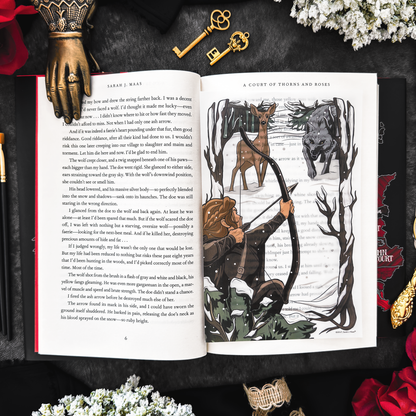 A Court of Thorns and Roses Book Scene Illustrations (6-Pack) (ConQuest Journals Exclusive)