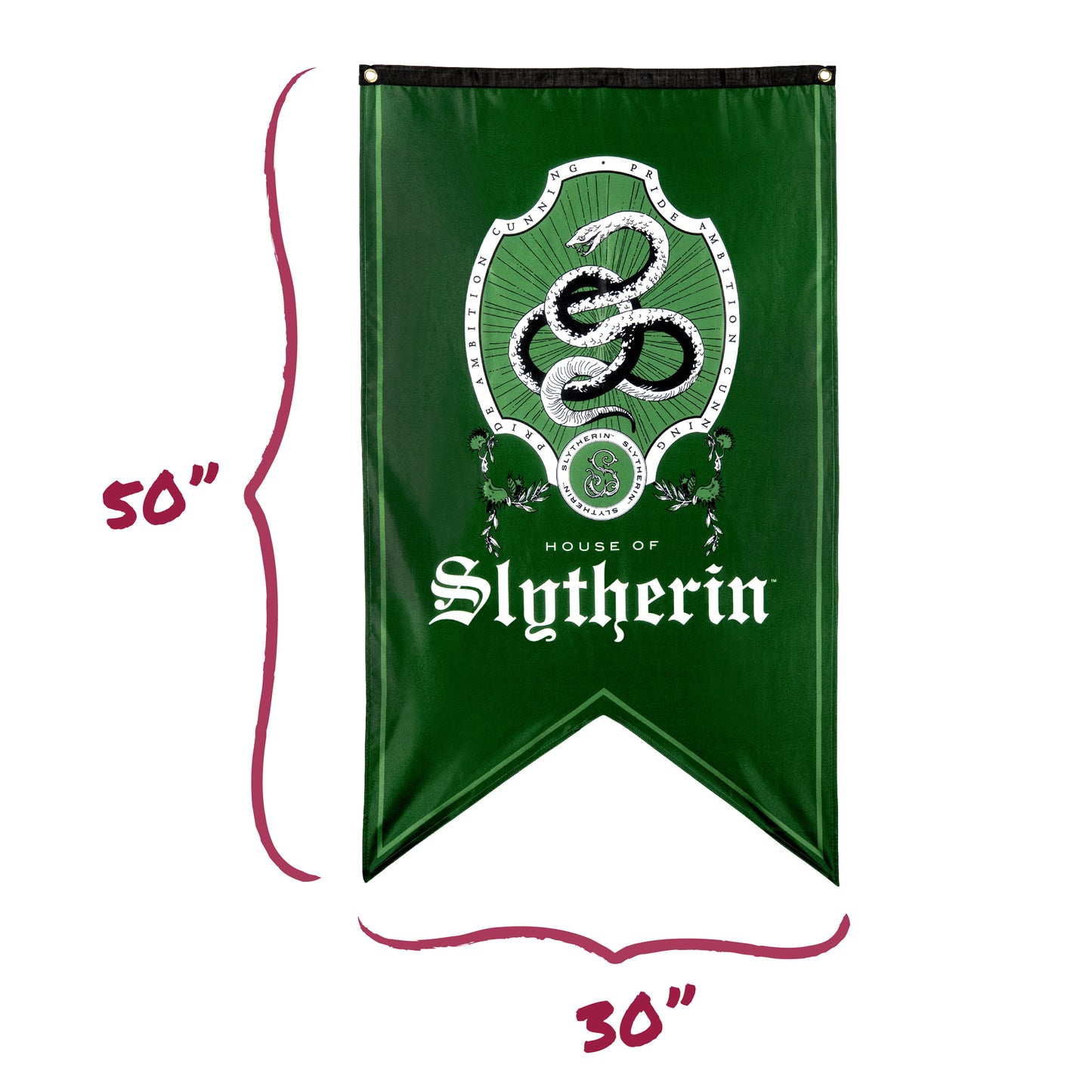 Harry Potter Slytherin House Pride Bundle (30'' x 50'' Banner, 60-Pack Decals & Wall Collage Kit)