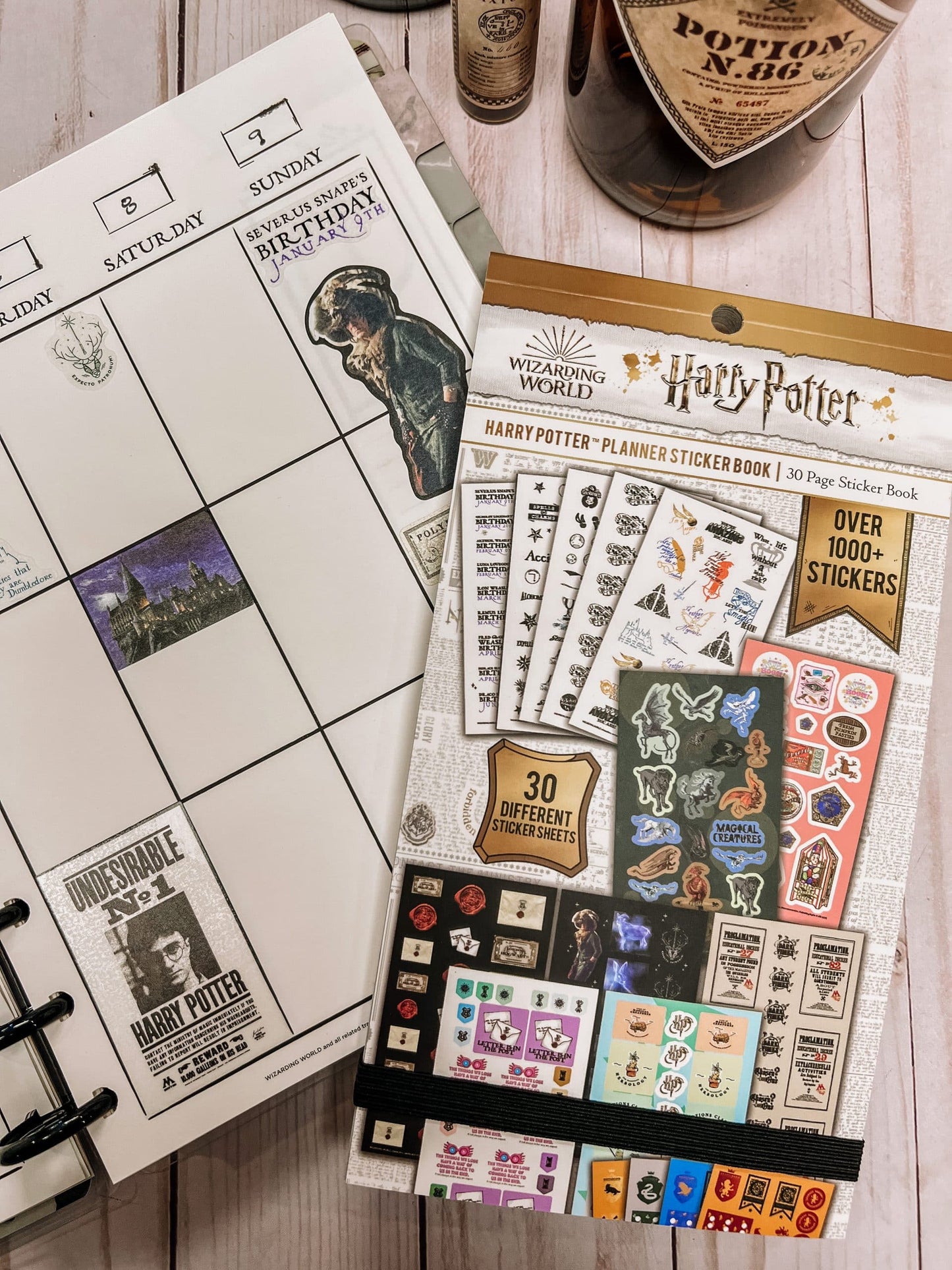 Harry Potter Planner Sticker Book