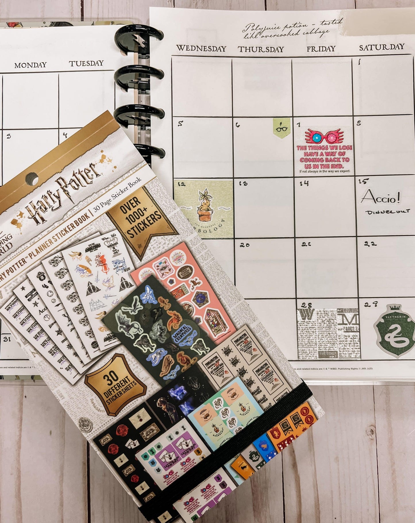 Harry Potter Planner Sticker Book Bundle (2-Pack)